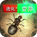 徐梦洁通宵练宝莲