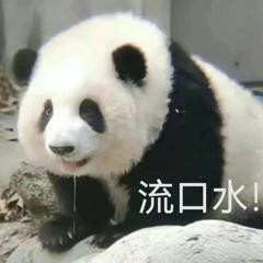 何超莲罕晒三房全家福