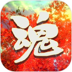 孙杨当众让张豆豆给他道歉